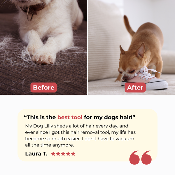 Love Your Pet. Not the Hair They Leave Behind.